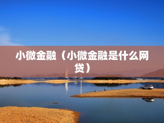 小微金融（小微金融是什么网贷）