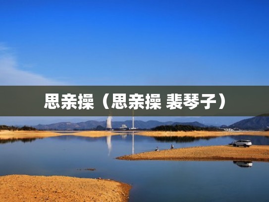 思亲操（思亲操 裴琴子）