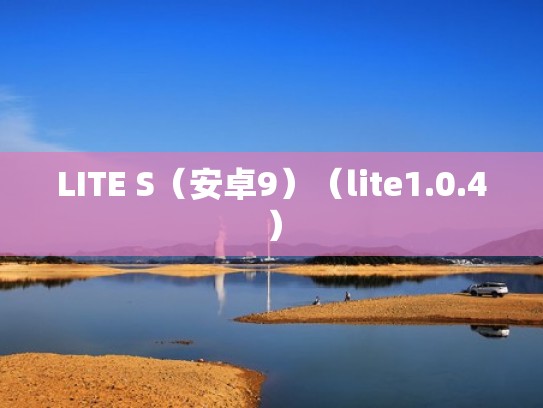 LITE S（安卓9）（lite1.0.4）