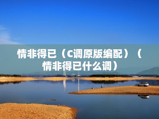 情非得已（C调原版编配）（情非得已什么调）