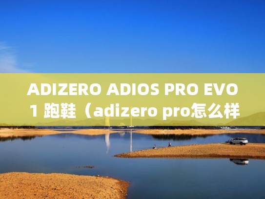 ADIZERO ADIOS PRO EVO 1 跑鞋(adizero pro怎么样) ADIZERO ADIOS PRO EVO 1 跑鞋(adizero pro怎么样)