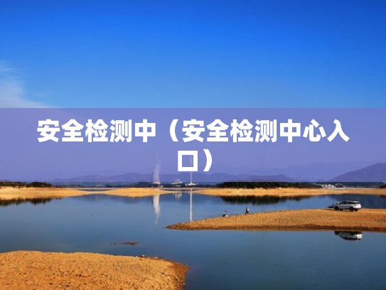 安全检测中（安全检测中心入口）