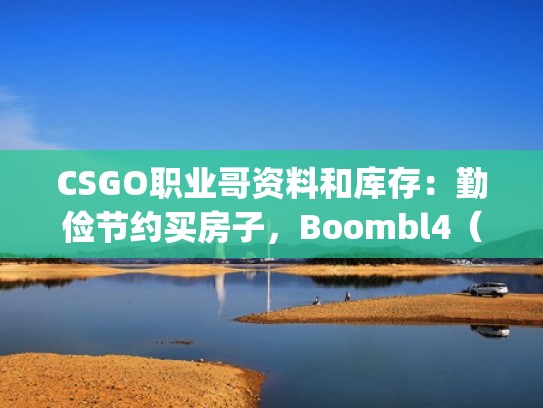 CSGO职业哥资料和库存:勤俭节约买房子,Boombl4(NAVI战队,胖球)(cs职业选手胖神) CSGO职业哥资料和库存:勤俭节约买房子,Boombl4(NAVI战队,胖球)(cs职业选手胖神)
