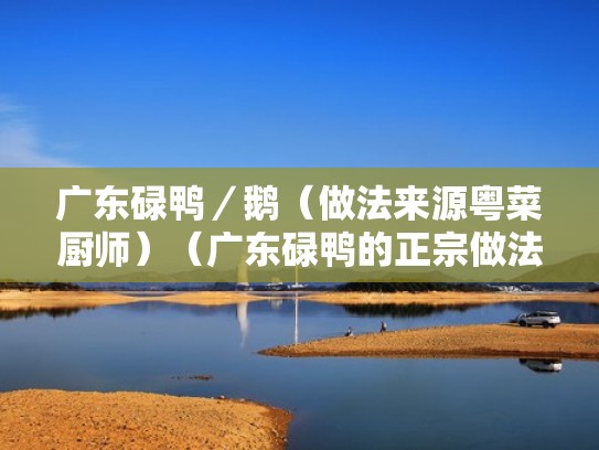 广东碌鸭／鹅（做法来源粤菜厨师）（广东碌鸭的正宗做法窍门）