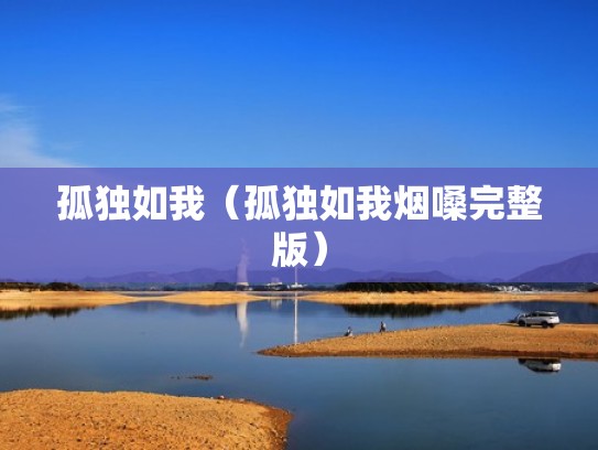 孤独如我(孤独如我烟嗓完整版) 孤独如我(孤独如我烟嗓完整版)