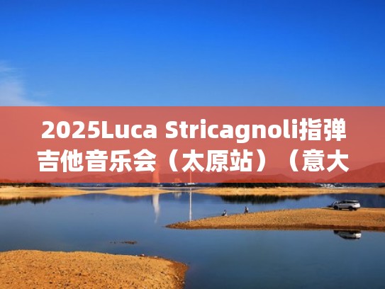 2025Luca Stricagnoli指弹吉他音乐会（太原站）（意大利指弹吉他大师luca）