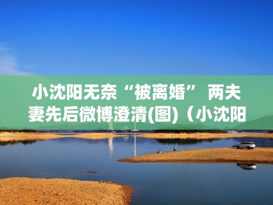 小沈阳无奈“被离婚” 两夫妻先后微博澄清(图)（小沈阳最近怎样）