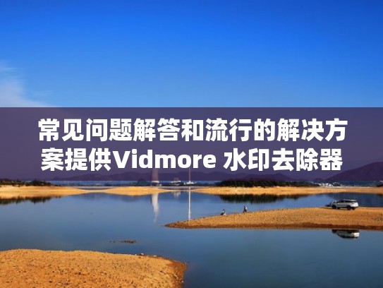 常见问题解答和流行的解决方案提供Vidmore 水印去除器(去除水印原理) 常见问题解答和流行的解决方案提供Vidmore 水印去除器(去除水印原理)
