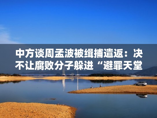 中方谈周孟波被缉捕遣返：决不让腐败分子躲进“避罪天堂”（周孟波简介）