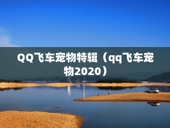 QQ飞车宠物特辑（qq飞车宠物2020）