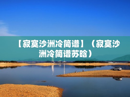 【寂寞沙洲冷简谱】（寂寞沙洲冷简谱苏晗）