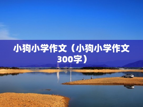 小狗小学作文（小狗小学作文300字）