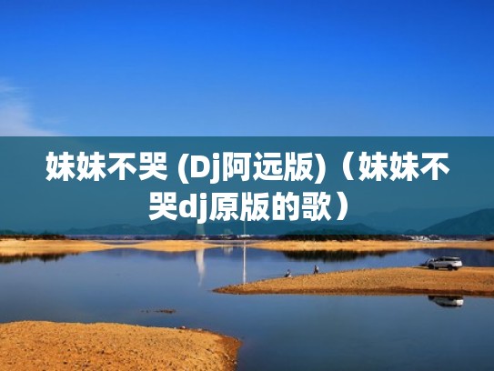 妹妹不哭 (Dj阿远版)（妹妹不哭dj原版的歌）