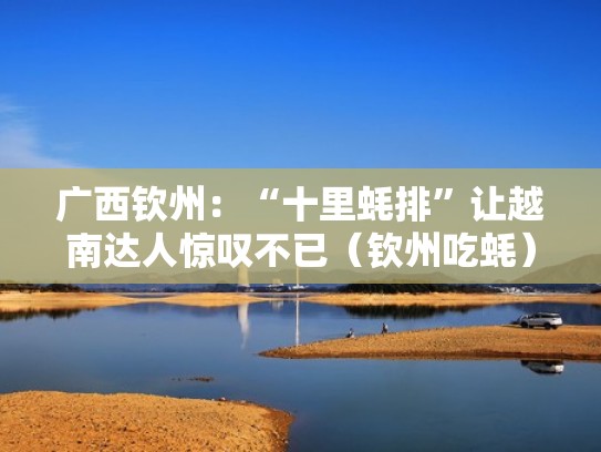 广西钦州:“十里蚝排”让越南达人惊叹不已(钦州吃蚝) 广西钦州:“十里蚝排”让越南达人惊叹不已(钦州吃蚝)