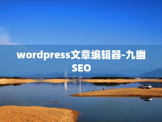 wordpress文章编辑器-九幽SEO
