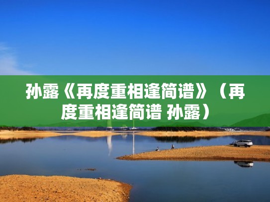 孙露《再度重相逢简谱》(再度重相逢简谱 孙露) 孙露《再度重相逢简谱》(再度重相逢简谱 孙露)