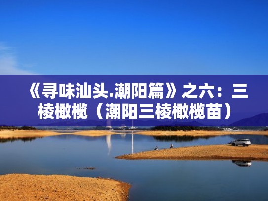 《寻味汕头.潮阳篇》之六：三棱橄榄（潮阳三棱橄榄苗）