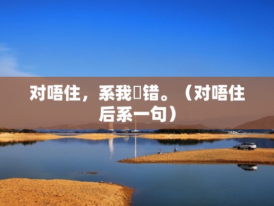 对唔住，系我嘅错。（对唔住后系一句）