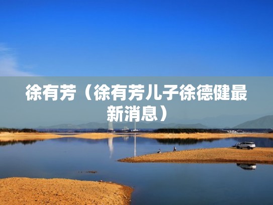 徐有芳（徐有芳儿子徐德健最新消息）