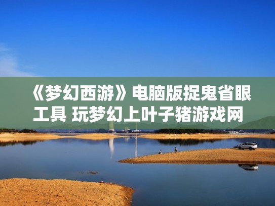 《梦幻西游》电脑版捉鬼省眼工具 玩梦幻上叶子猪游戏网（梦幻西游抓鬼开眼吗）