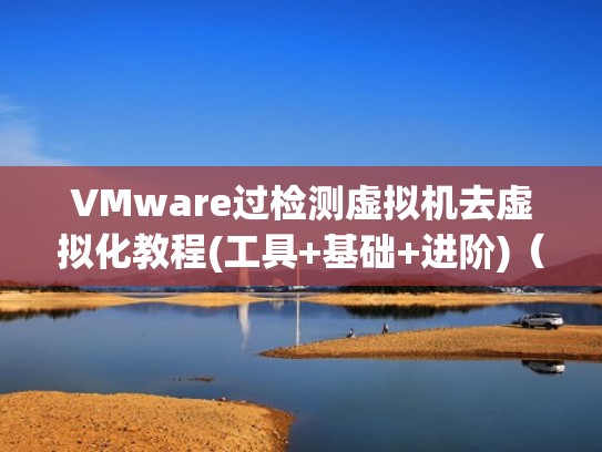 VMware过检测虚拟机去虚拟化教程(工具+基础+进阶)（虚拟机如何过虚拟检测）