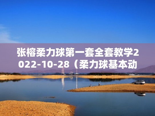 张榕柔力球第一套全套教学2022-10-28（柔力球基本动作视频张金数视频）