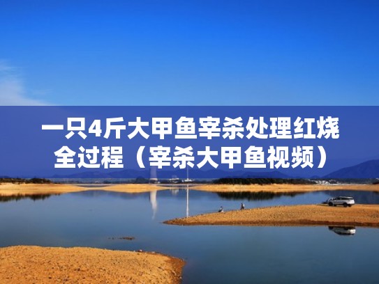 一只4斤大甲鱼宰杀处理红烧全过程（宰杀大甲鱼视频）