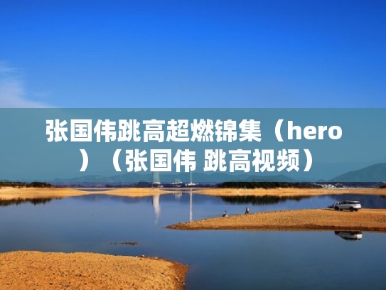 张国伟跳高超燃锦集（hero）（张国伟 跳高视频）