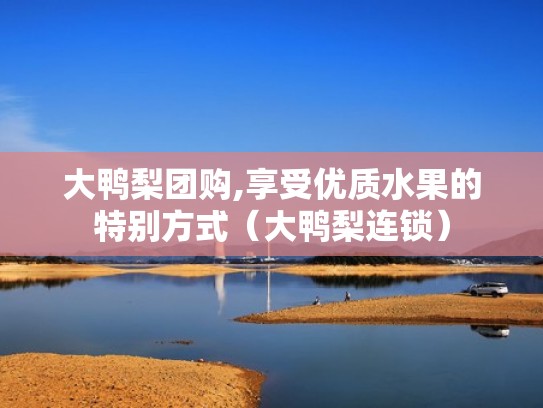 大鸭梨团购,享受优质水果的特别方式（大鸭梨连锁）