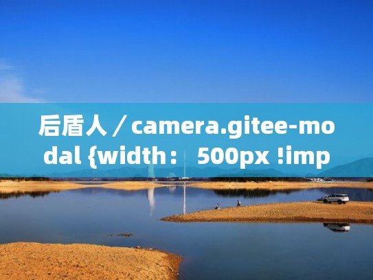 后盾人／camera.gitee-modal {width： 500px !important; }（后盾人教程）