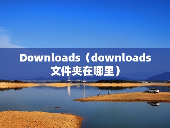 Downloads（downloads文件夹在哪里）