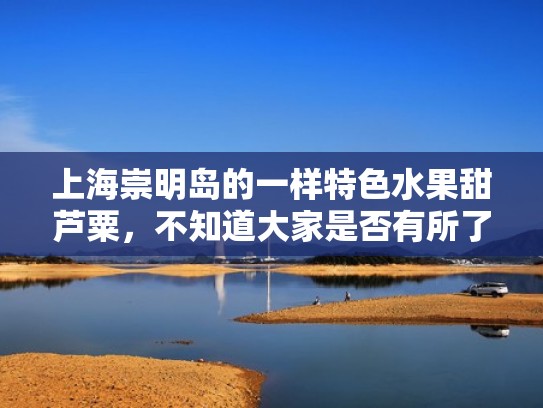 上海崇明岛的一样特色水果甜芦粟，不知道大家是否有所了解（崇明特产芦稷）