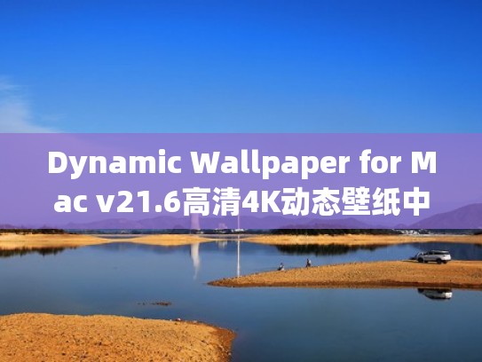 Dynamic Wallpaper for Mac v21.6高清4K动态壁纸中文版（mac壁纸动图）