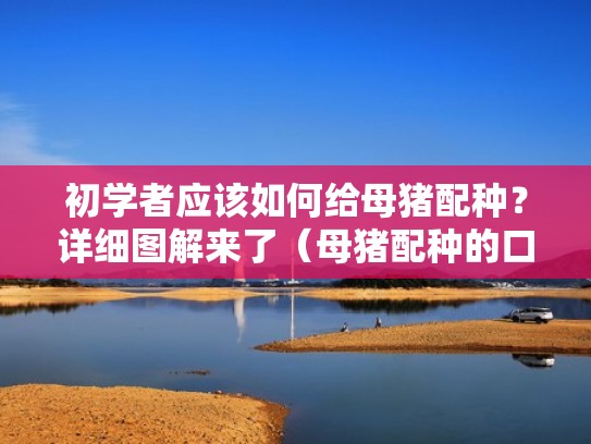 初学者应该如何给母猪配种?详细图解来了(母猪配种的口诀) 初学者应该如何给母猪配种?详细图解来了(母猪配种的口诀)