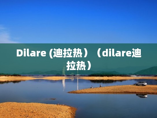 Dilare (迪拉热)(dilare迪拉热) Dilare (迪拉热)(dilare迪拉热)