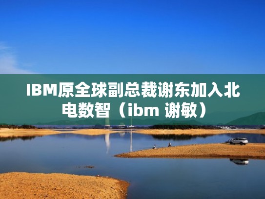 IBM原全球副总裁谢东加入北电数智（ibm 谢敏）