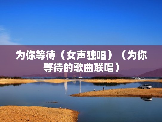 为你等待（女声独唱）（为你等待的歌曲联唱）