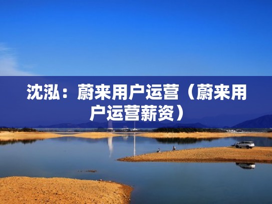 沈泓：蔚来用户运营（蔚来用户运营薪资）