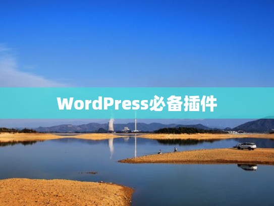 WordPress必备插件