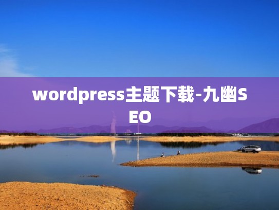 wordpress主题下载-九幽SEO