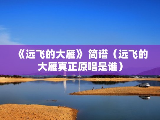 《远飞的大雁》 简谱（远飞的大雁真正原唱是谁）