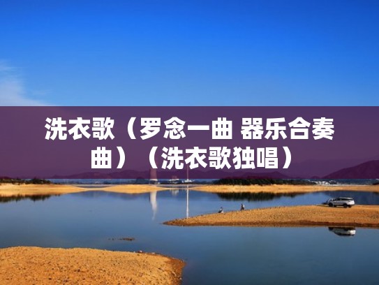 洗衣歌（罗念一曲 器乐合奏曲）（洗衣歌独唱）