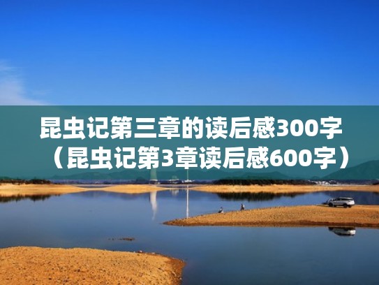 昆虫记第三章的读后感300字（昆虫记第3章读后感600字）