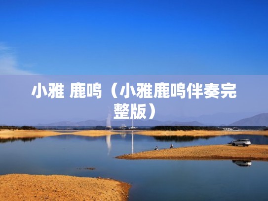 小雅 鹿鸣(小雅鹿鸣伴奏完整版) 小雅 鹿鸣(小雅鹿鸣伴奏完整版)