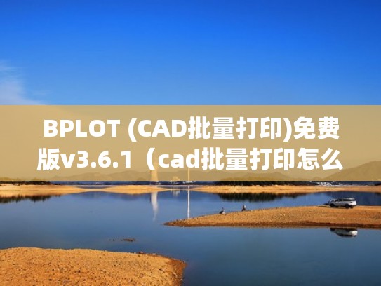 BPLOT (CAD批量打印)免费版v3.6.1(cad批量打印怎么用bplot打印模型) BPLOT (CAD批量打印)免费版v3.6.1(cad批量打印怎么用bplot打印模型)