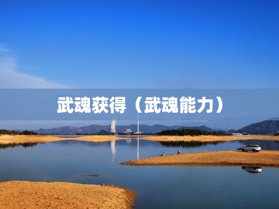 武魂获得(武魂能力) 武魂获得(武魂能力)