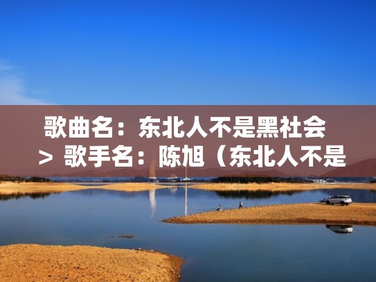 歌曲名：东北人不是黑社会 ＞ 歌手名：陈旭（东北人不是黑社会是谁唱的）