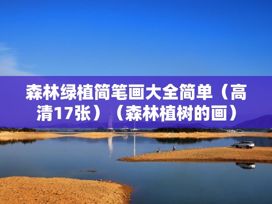 森林绿植简笔画大全简单（高清17张）（森林植树的画）