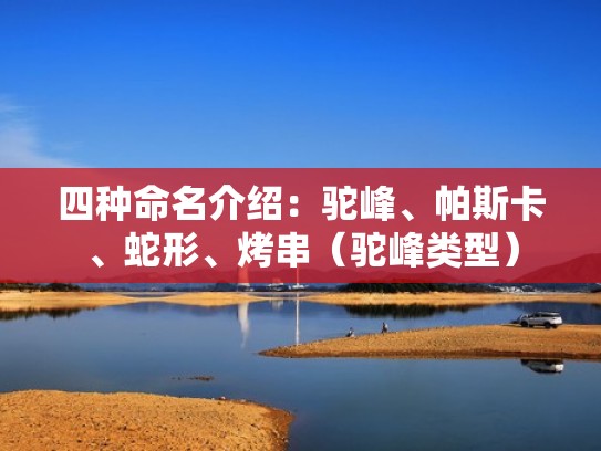 四种命名介绍：驼峰、帕斯卡、蛇形、烤串（驼峰类型）