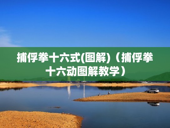 捕俘拳十六式(图解)（捕俘拳十六动图解教学）